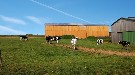 batiment agricole de séchage en grange de fourrage