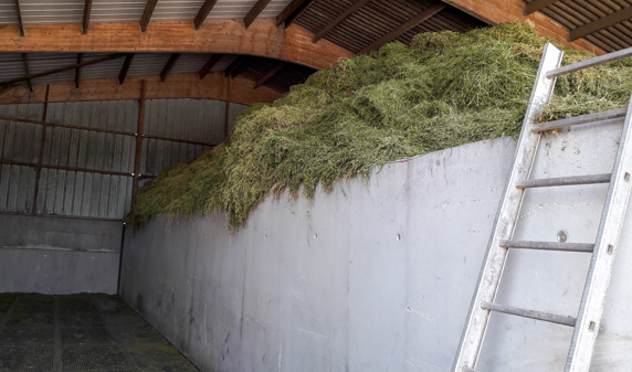 cellule de séchage avec du foin sec