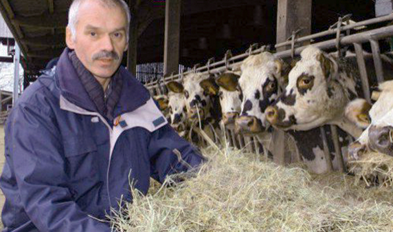M. Angot donnant du foin à ses vaches