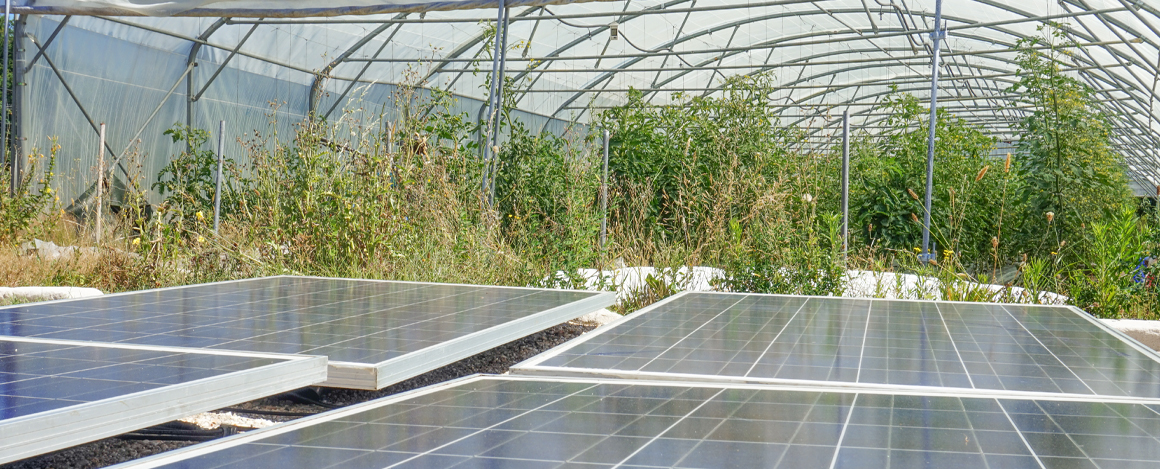 panneaux solaires pour alimentation pompe agricole