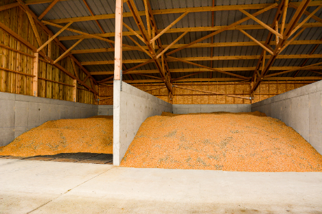 stockage céréales à plat