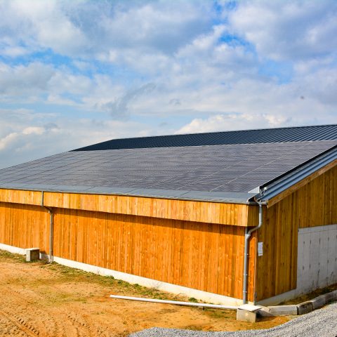 c3a04c69-3191-49c2-a7a5-7b21aa9a8eca-2