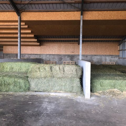 WhatsApp Image 2023-07-31 at 16.27.29