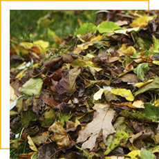 valorisation de biomasse feuilles et déchets verts sur le sol